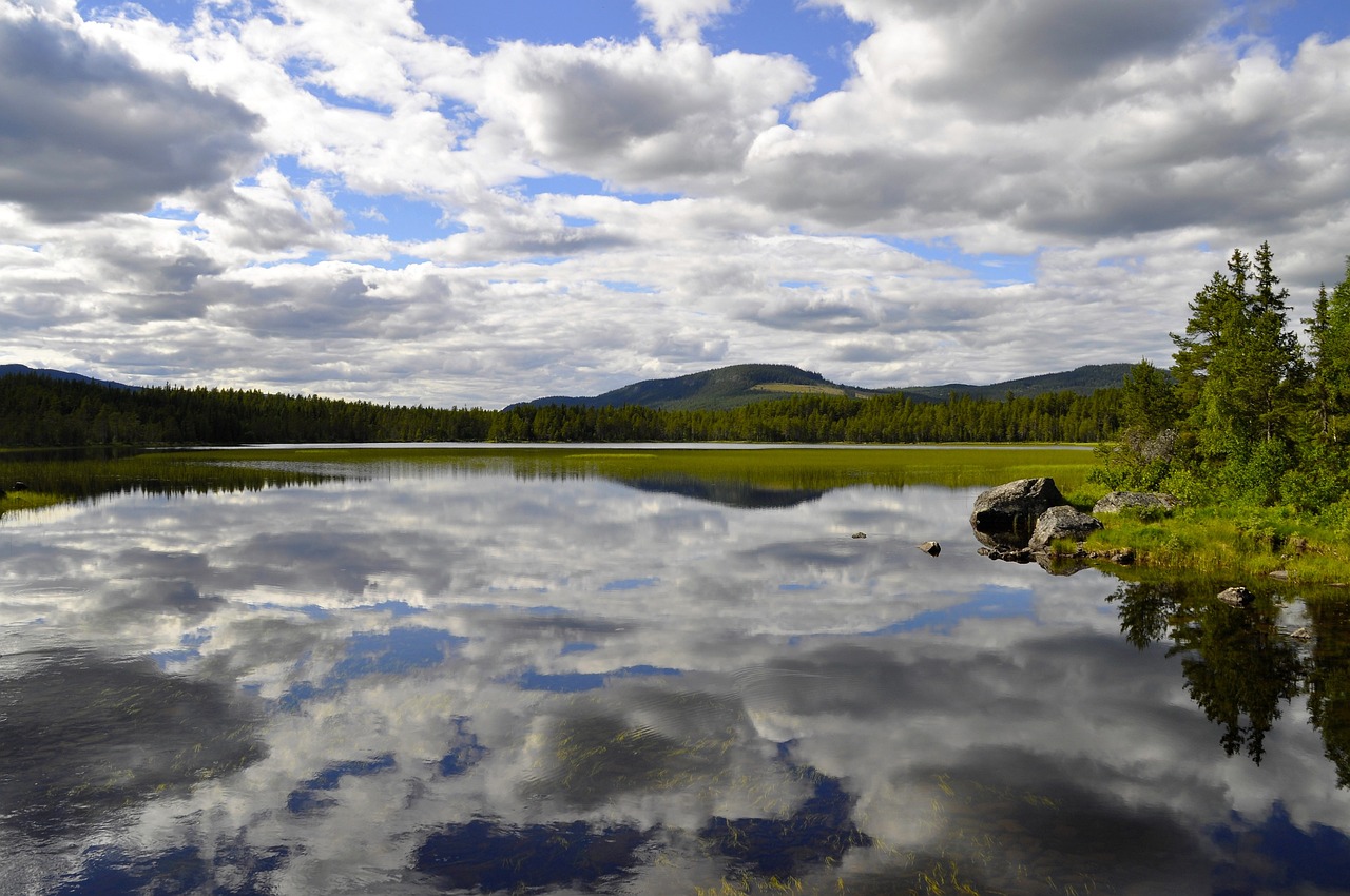 Verksamhetsplan Dalarna 2024