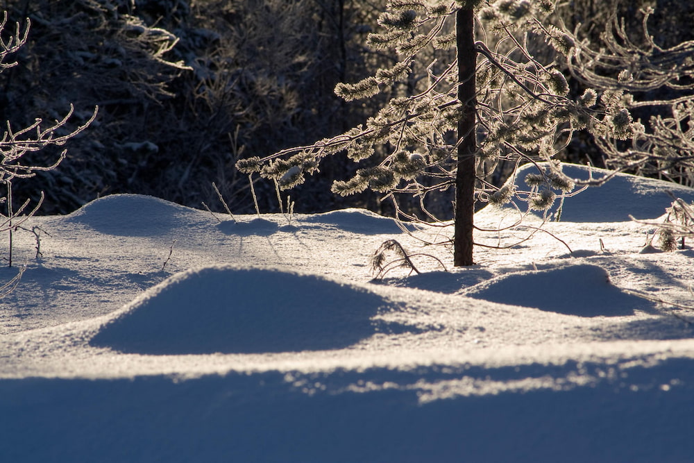 Träff om osteoporos/benskörhet i Skellefteå 9 februari