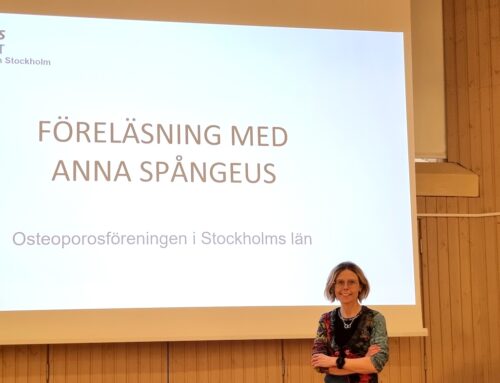Anna Spångeus föreläste i Stockholm