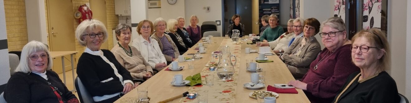 Välbesökt medlemsmöte med Ilka Weiskirchner