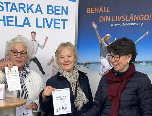 Seniordagen i Kungsträdgården